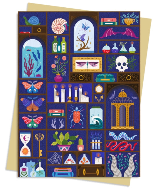 Jenny Zemanek A Cabinet Of Curiosities By Flame Tree Studio