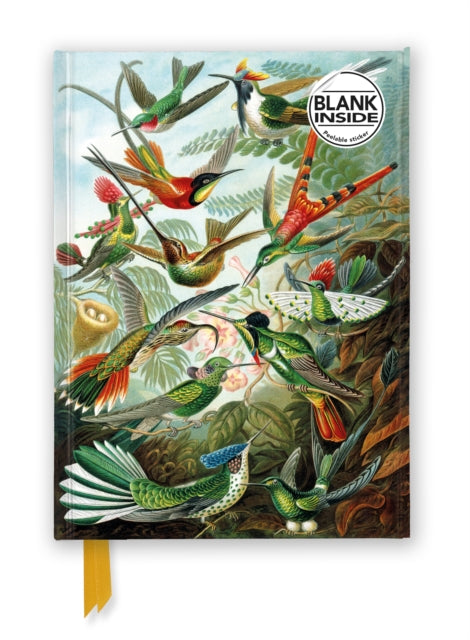Ernst Haeckel Hummingbirds