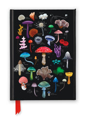 Anna Stead Mushrooms & Fungi