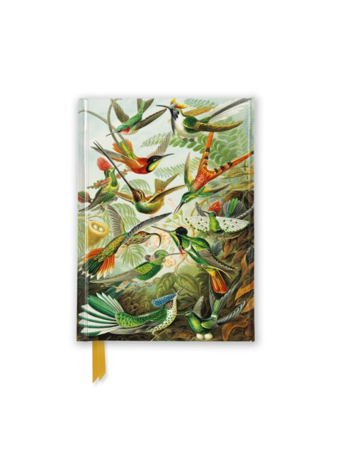 Ernst Haeckel Hummingbirds