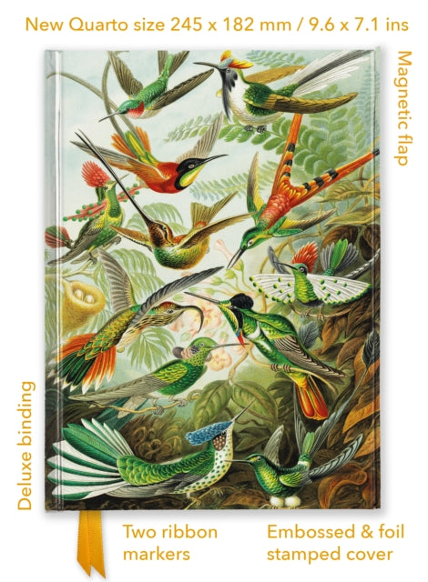 Ernst Haeckel Hummingbirds