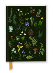 Anna Stead The Forest Floor