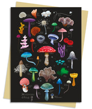 Anna Stead Mushrooms Fungi/6 X Cards