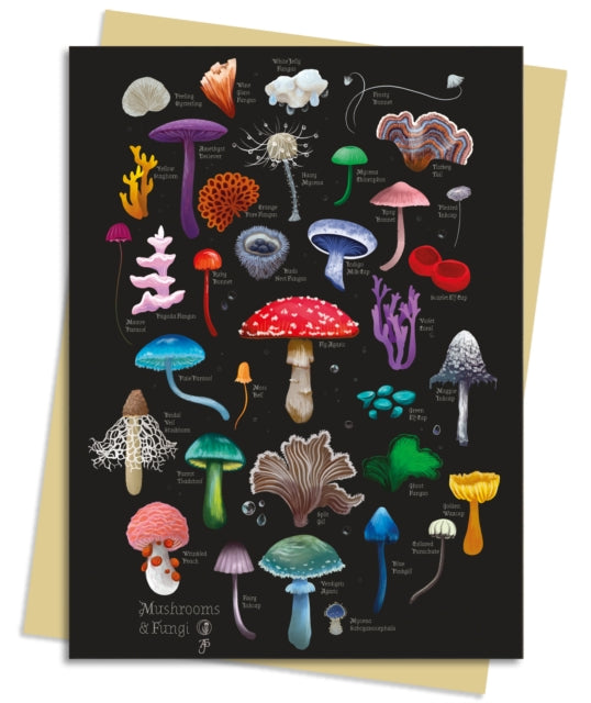 Anna Stead Mushrooms Fungi/6 X Cards