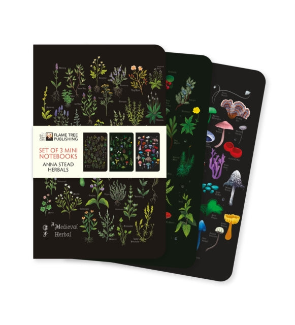 Anna Stead Herbals Set Of 3 Mini Notebks