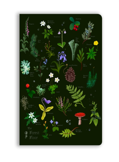 Anna Stead The Forest Floor Soft Touc
