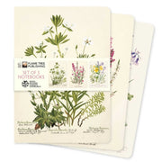 Royal Botanic Gardens Edinburgh Set Of