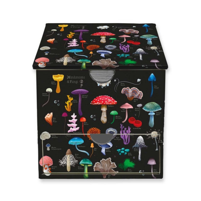 Anna Stead Mushrooms/fungi Memo Box With By Flame Tree Studio