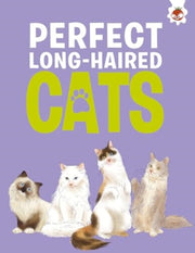 Perfect Long Haired Cats