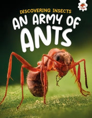 Army Of Ants