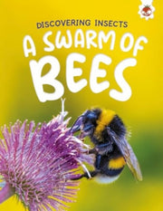 Swarm Of Bees