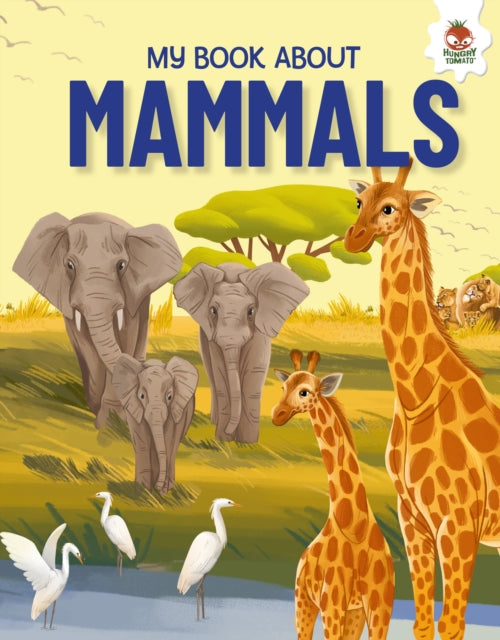 My Book About Mammals