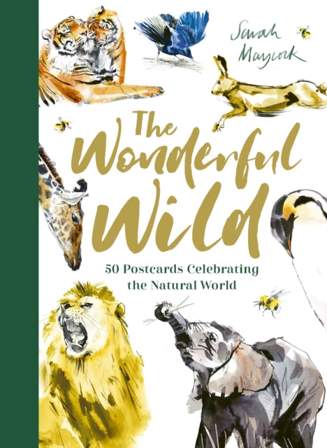 Wonderful Wild 50 Postcards