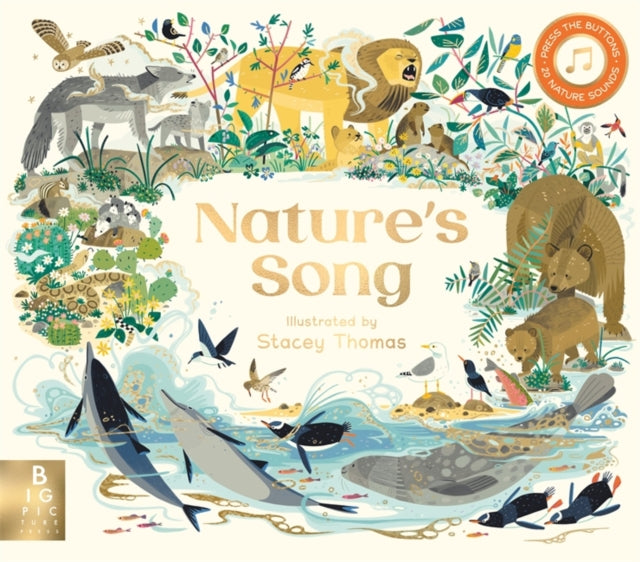 Natures Song Sound Book By Wilson, Charlie