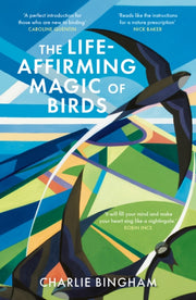 Life Affirming Magic Of Birds