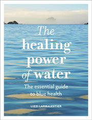 Healing Power Of Water By Larbalestier, Lizzi