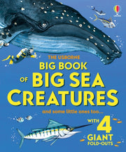 Big Book Of Big Sea Creatures By Lacey, Minna