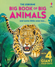 Big Book Of Big Animals By Not Known