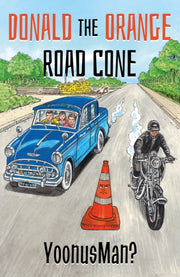 Harry The Cone