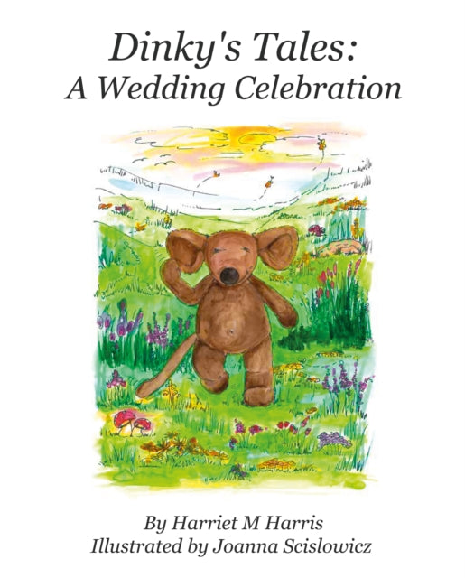 Dinkys Tales A Wedding Celebrations