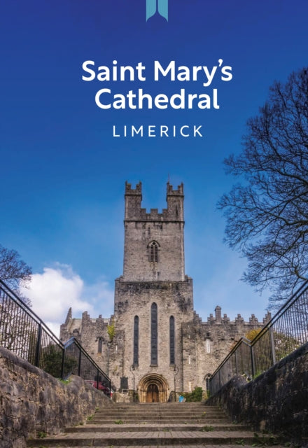 Saint Marys Cathedral Limerick