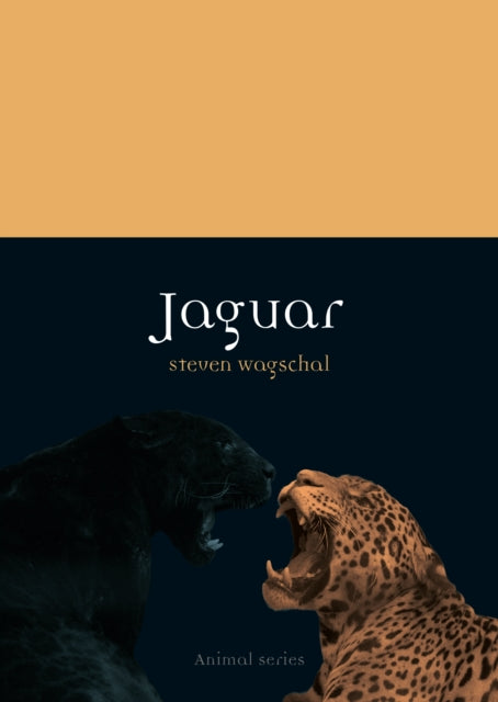 Jaguar By Wagschal, Steven