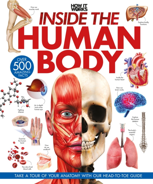 Inside The Human Body By Future Publishing