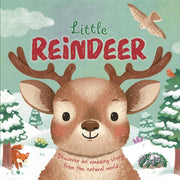 Little Reindeer By Autumn