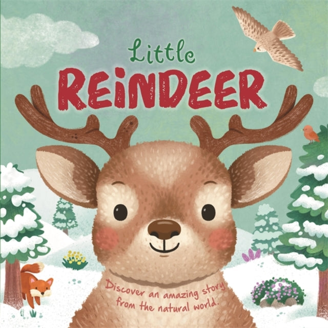 Little Reindeer By Autumn