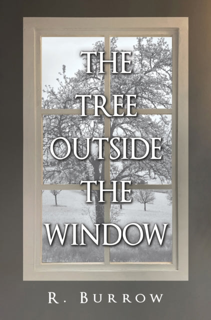 The Tree Outside The Window