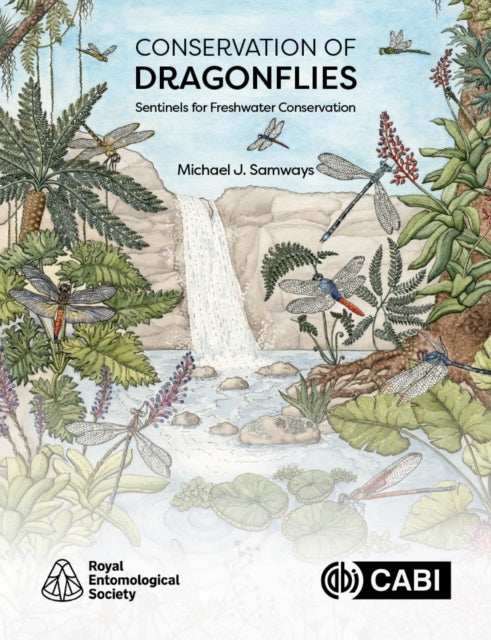 Conservation Of Dragonflies
