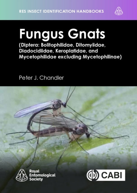 Fungus Gnats Diptera Bolitophilidae Dito By Chandler, Peter