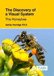 Discovery Of A Visual System Honeybee Th
