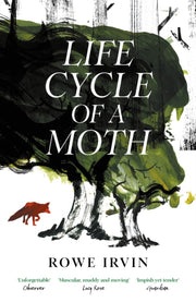 Life Cycle Of A Moth