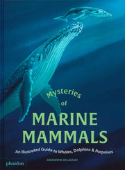 Mysteries Of Marine Mammals By Delaunay, Amandine