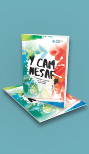 Y Cam Nesaf 2025 Single