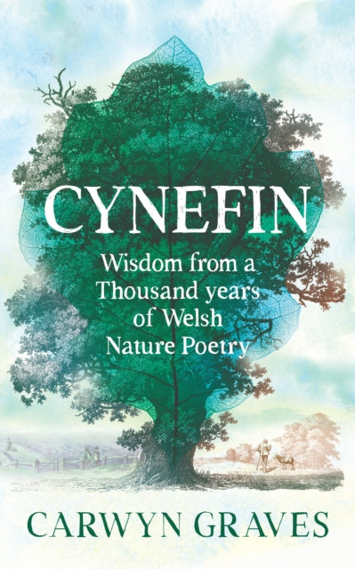 Cynefin: Wisdom From A Thousand Years Of