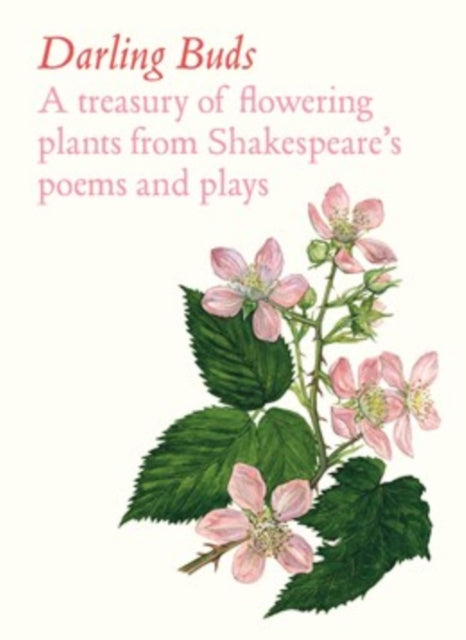 Darling Buds