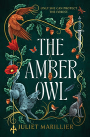 Amber Owl By Marillier, Juliet