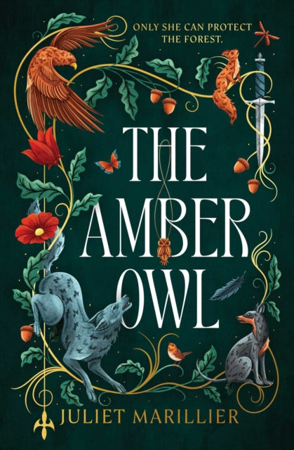 Amber Owl By Marillier, Juliet