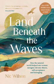 Land Beneath The Waves By Wilson, Nic