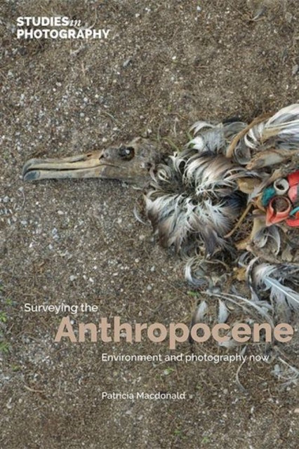 Surveying The Anthropocene Environment