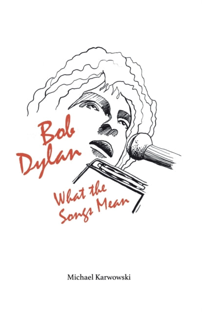 Bob Dylan What The Songs Mean