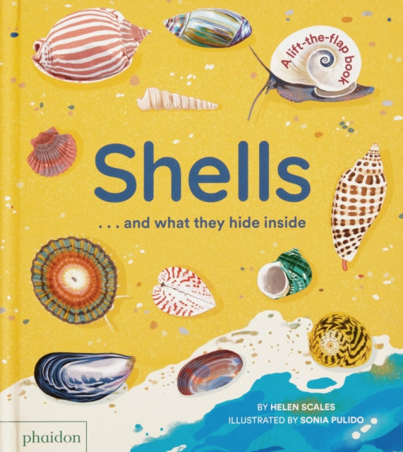 Shells & What They Hide Inside