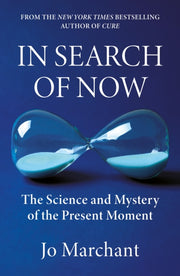 In Search Of Now By Marchant, Jo
