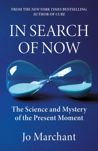In Search Of Now By Marchant, Jo