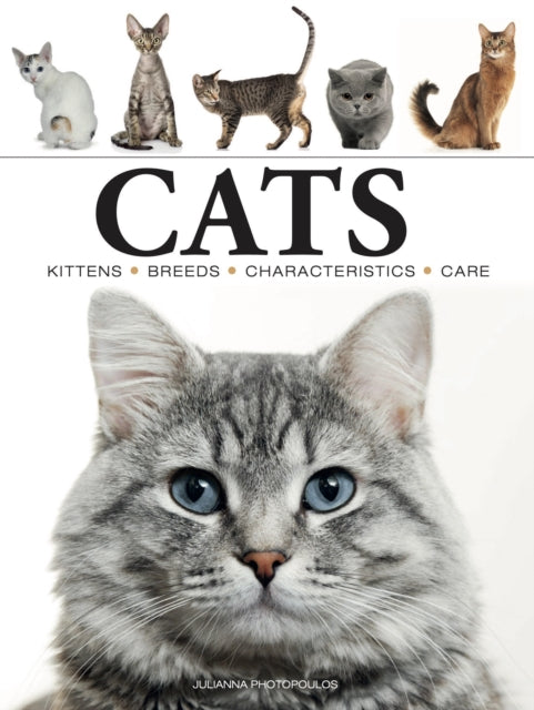 Cats