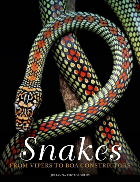 Snakes From Vipers To Boa Constrictors