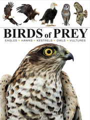 Birds Of Prey