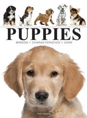 Puppies